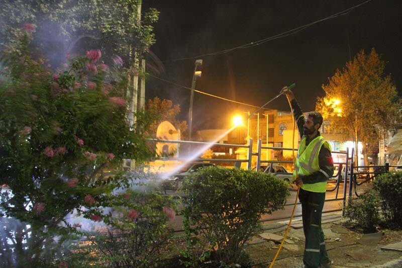 آبشویی روزانه ۴۵۰۰ اصله درخت و درختچه