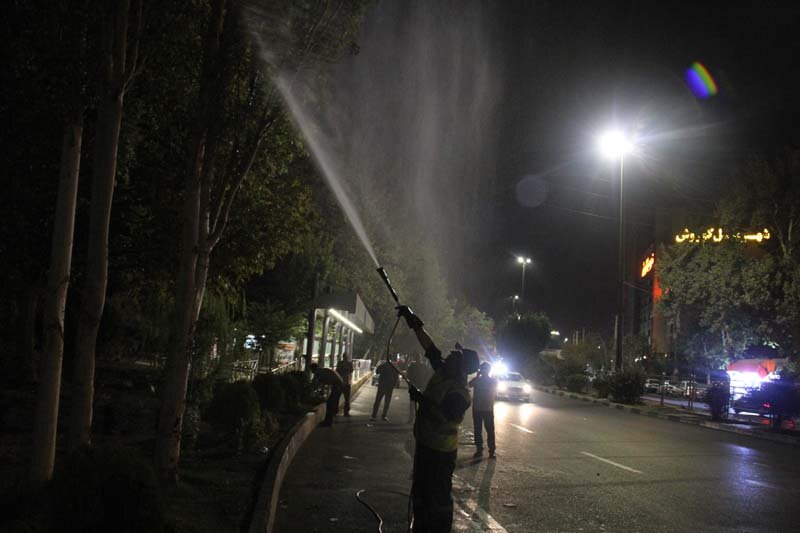 آبشویی روزانه ۴۵۰۰ اصله درخت و درختچه