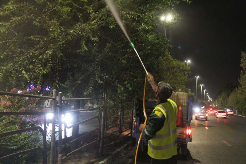 آبشویی روزانه ۴۵۰۰ اصله درخت و درختچه