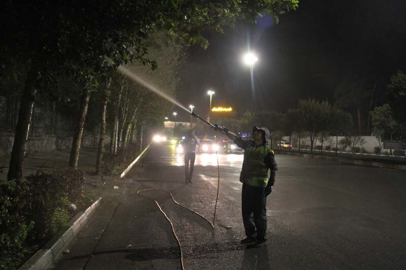 آبشویی روزانه ۴۵۰۰ اصله درخت و درختچه