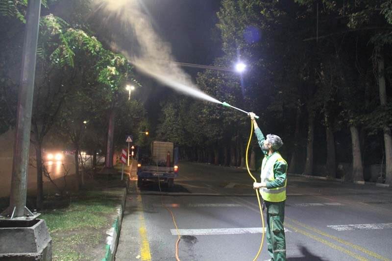 آبشویی روزانه ۴۵۰۰ اصله درخت و درختچه