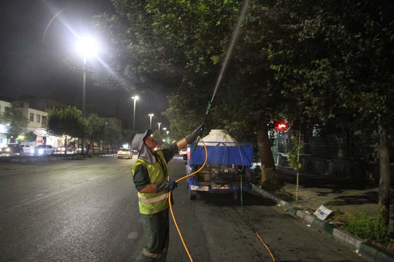 آبشویی روزانه ۴۵۰۰ اصله درخت و درختچه