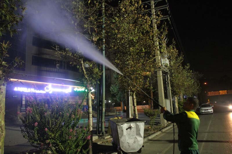 آبشویی روزانه ۴۵۰۰ اصله درخت و درختچه