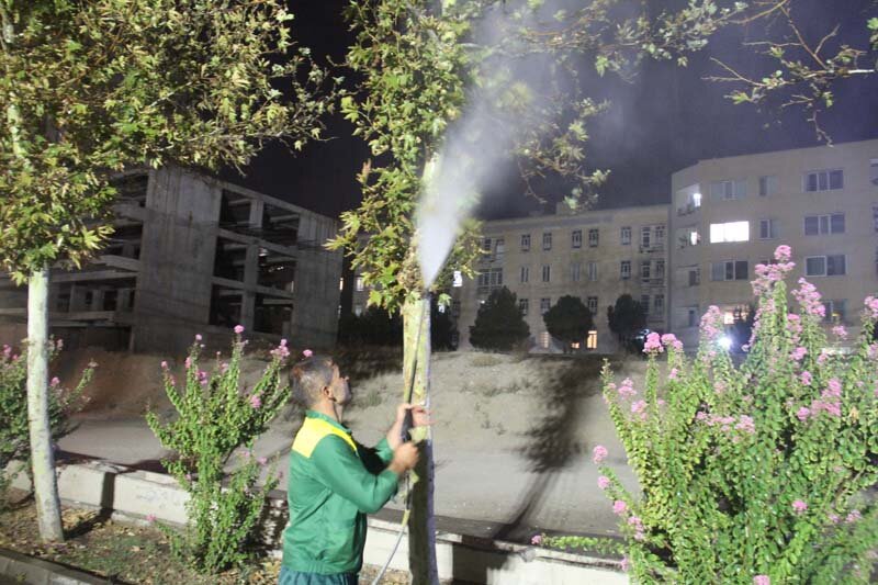 آبشویی روزانه ۴۵۰۰ اصله درخت و درختچه