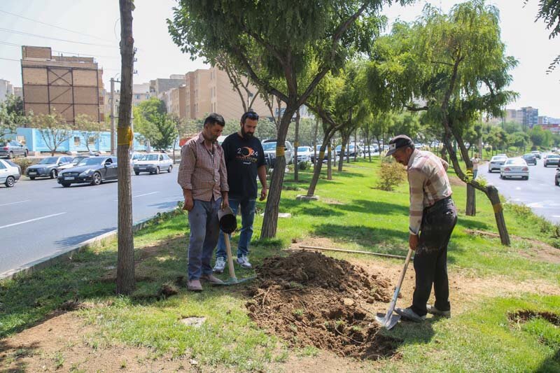 قنات های کرج زنده می شوند