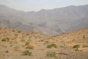 تامین آب جنگل‌کاری بیجی با احداث مخازن ۳۰۰۰ مترمکعبی