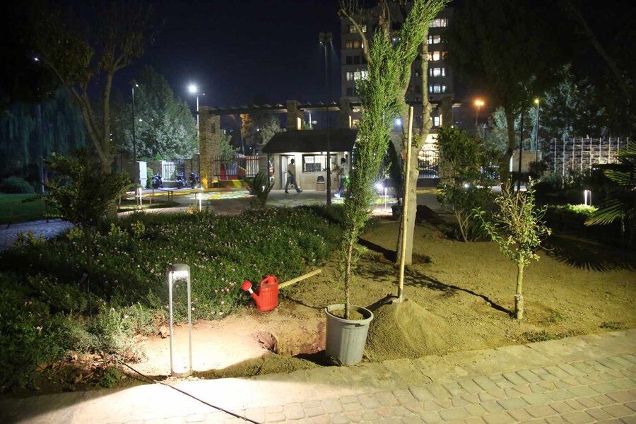 آتشنشانان کرجی در پارک ملی ایران کوچک سرو ایثار کاشتند