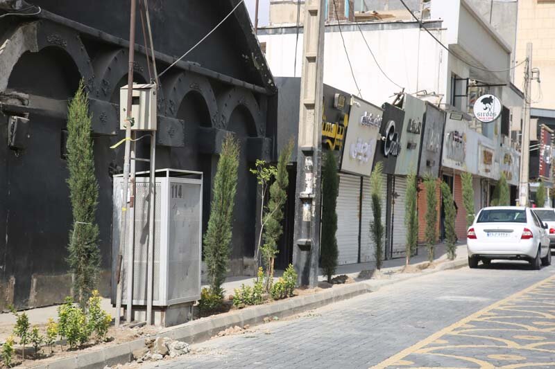 کاشت بیش از ۱۰۰۰ اصله درخت و درختچه در رجاییشهر