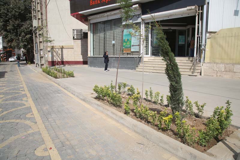 کاشت بیش از ۱۰۰۰ اصله درخت و درختچه در رجاییشهر