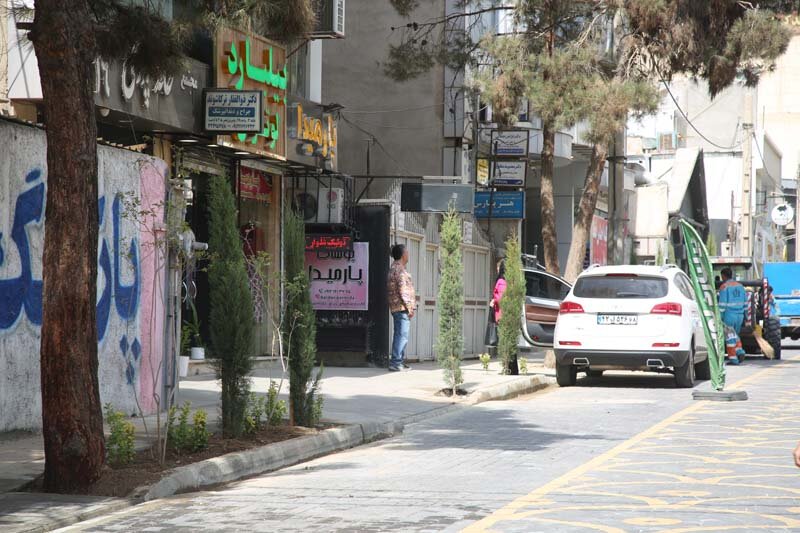 کاشت بیش از ۱۰۰۰ اصله درخت و درختچه در رجاییشهر