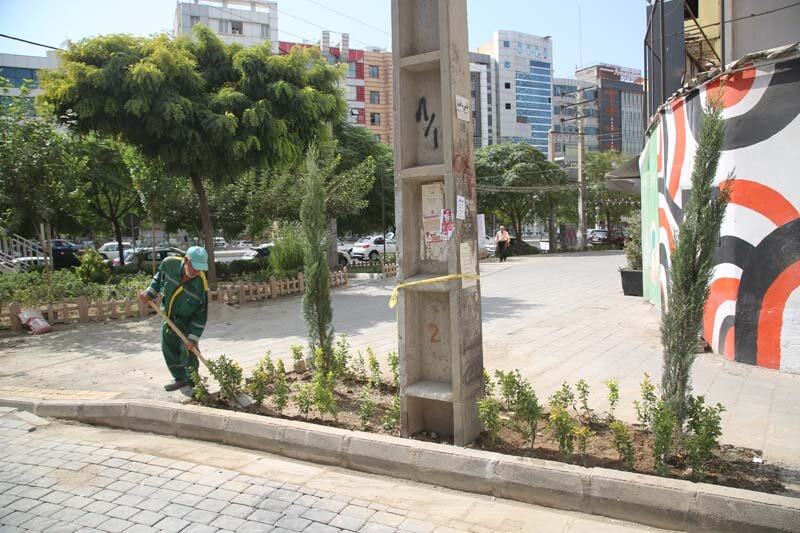 کاشت بیش از ۱۰۰۰ اصله درخت و درختچه در رجاییشهر