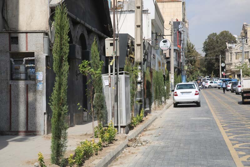 کاشت بیش از ۱۰۰۰ اصله درخت و درختچه در رجاییشهر