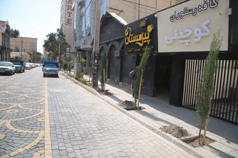 کاشت بیش از ۱۰۰۰ اصله درخت و درختچه در رجاییشهر