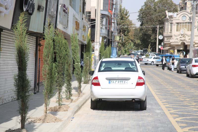 کاشت بیش از ۱۰۰۰ اصله درخت و درختچه در رجاییشهر