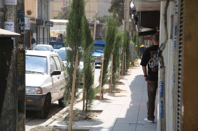 کاشت بیش از ۱۰۰۰ اصله درخت و درختچه در رجایی‌شهر