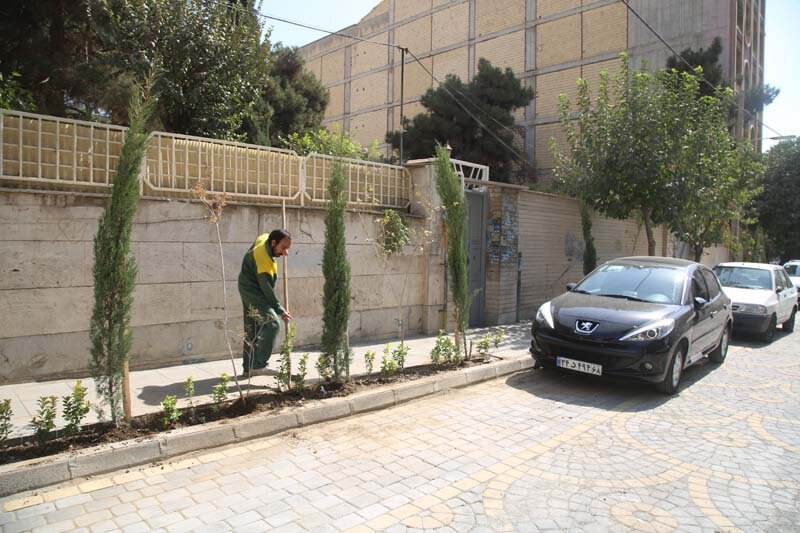 کاشت بیش از ۱۰۰۰ اصله درخت و درختچه در رجایی‌شهر