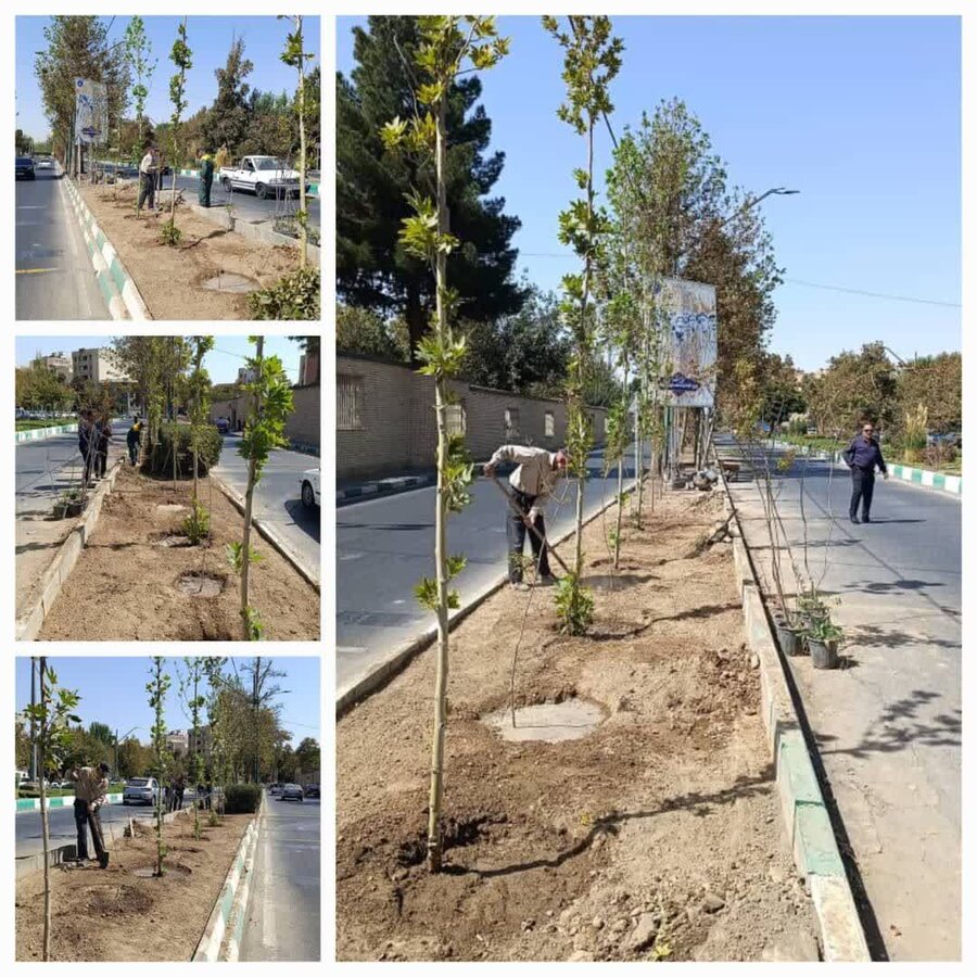عملیات اصلاح و بهسازی فضای سبز در منطقه ۸ اجرایی شد