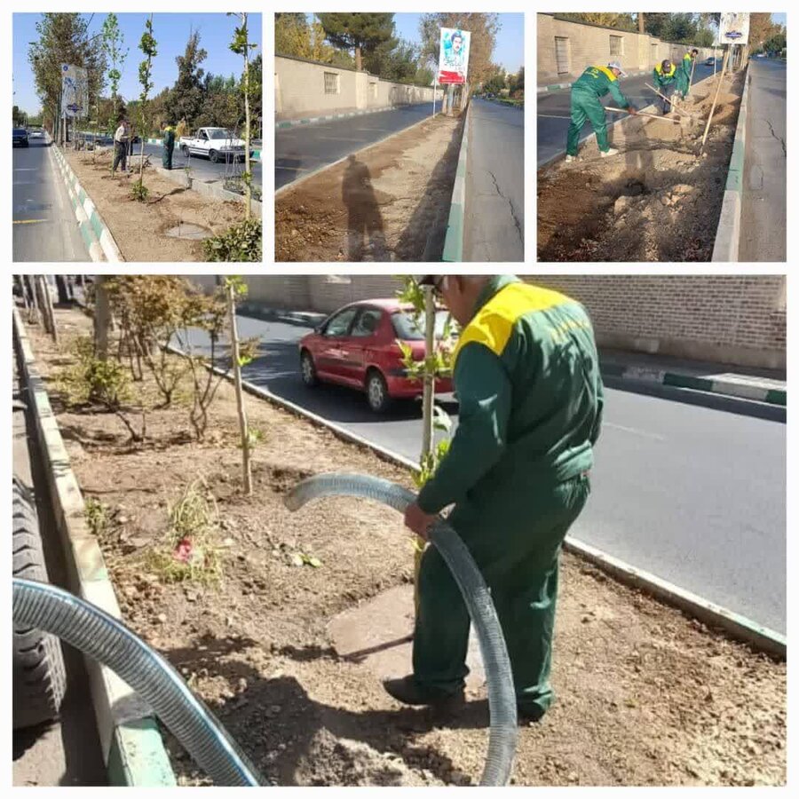 عملیات اصلاح و بهسازی فضای سبز در منطقه ۸ اجرایی شد