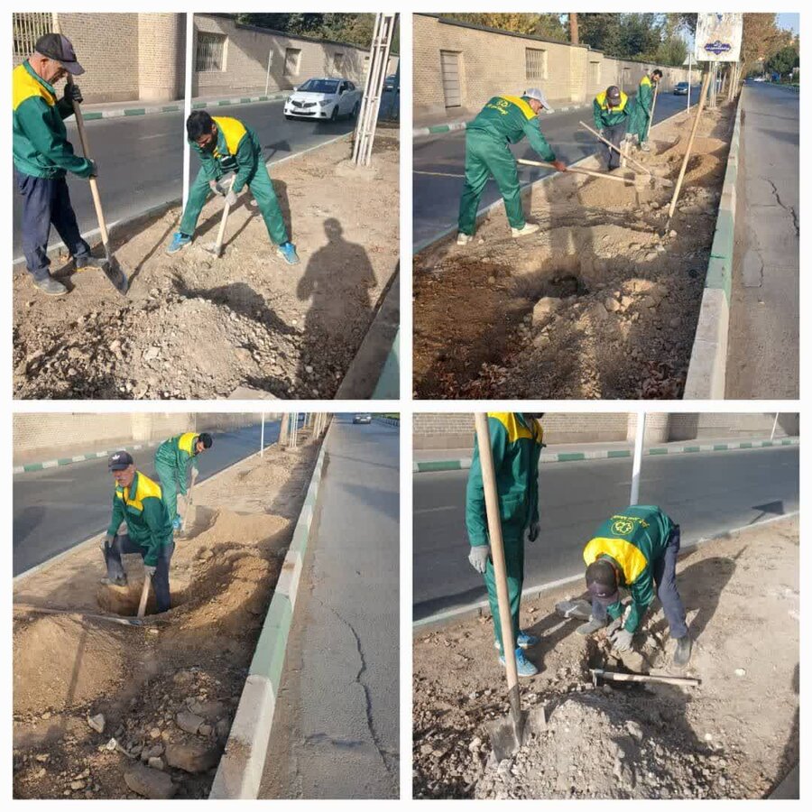 عملیات اصلاح و بهسازی فضای سبز در منطقه ۸ اجرایی شد