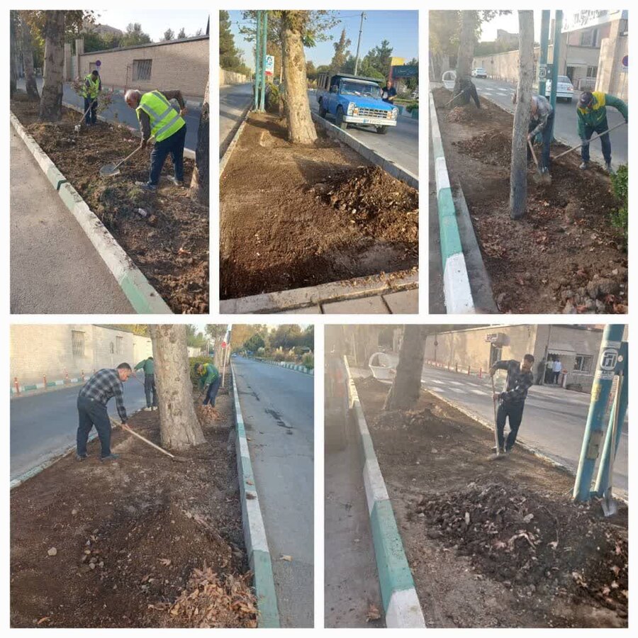 عملیات اصلاح و بهسازی فضای سبز در منطقه ۸ اجرایی شد