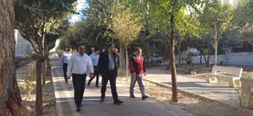 مدیر منطقه ۸ از آخرین وضعیت عمرانی، خدمات شهری و زیباسازی محلات بازدید کرد