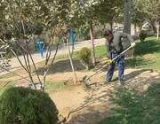 مقابله منطقه ۴ کرج با کمآبی/بهرهگیری از راهکارهای نوین آبیاری و توسعه فضای سبز