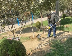 مقابله منطقه ۴ کرج با کم‌آبی/بهره‌گیری از راهکارهای نوین آبیاری و توسعه فضای سبز