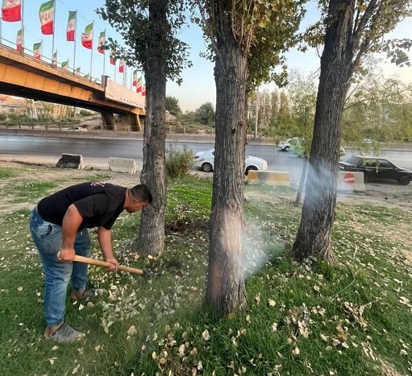 مقابله منطقه ۴ کرج با کم‌آبی / راهکارهای نوین آبیاری و توسعه فضای سبز