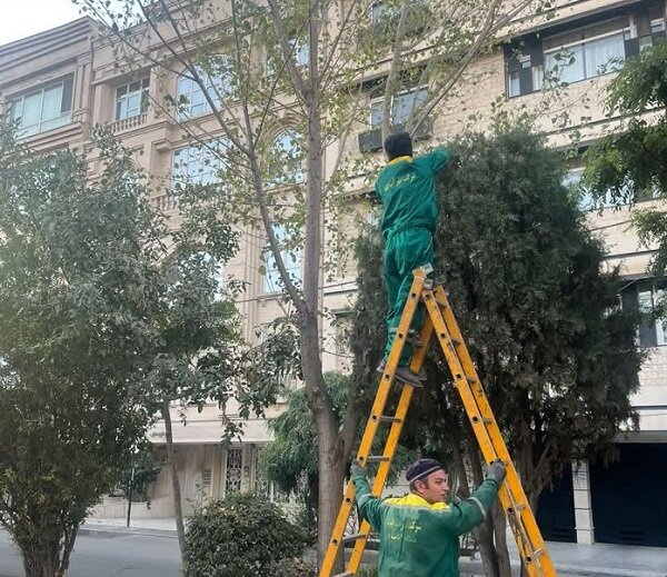 مقابله منطقه ۴ کرج با کمآبی / راهکارهای نوین آبیاری و توسعه فضای سبز