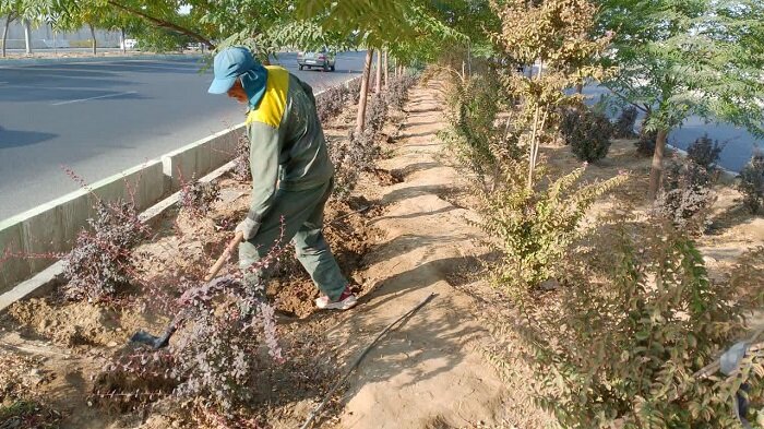 مقابله منطقه ۴ کرج با کمآبی / راهکارهای نوین آبیاری و توسعه فضای سبز