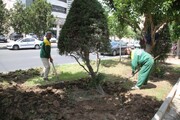 عملیات بِه‌زراعی فضای سبز کرج آغاز شد