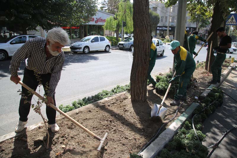 عملیات بِهزراعی فضای سبز کرج آغاز شد