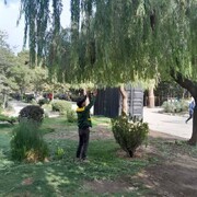 بوستانهای منطقه ۸ شهرداری کرج رنگ و روی تازه گرفت