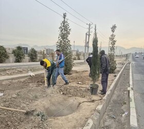 کمربندی مهرشهر احیاء می‌شود/ اجرای طرح گسترده درختکاری و ایجاد باند سبز