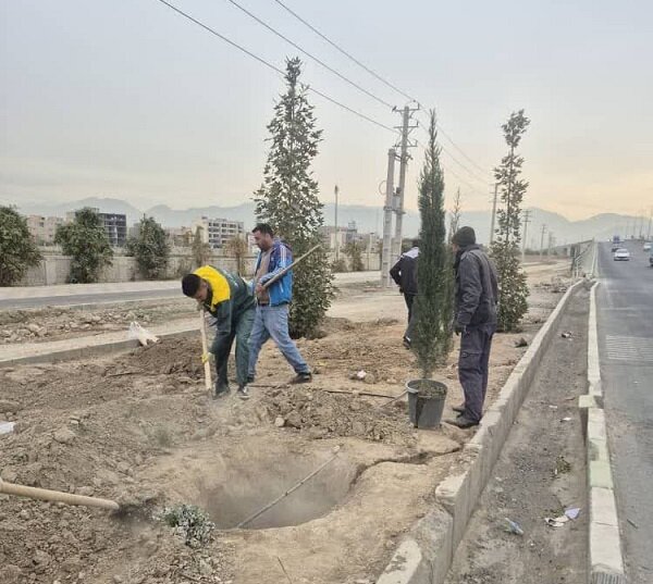 کمربندی مهرشهر احیاء میشود/ اجرای طرح گسترده درختکاری و ایجاد باند سبز