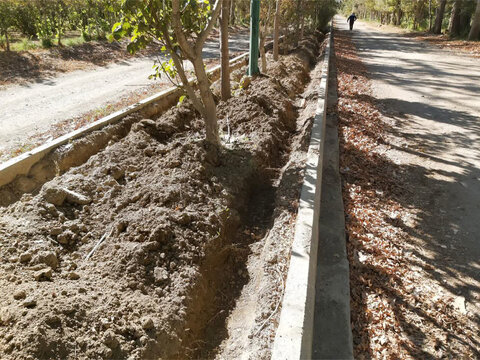 آبیاری زیر سطحی