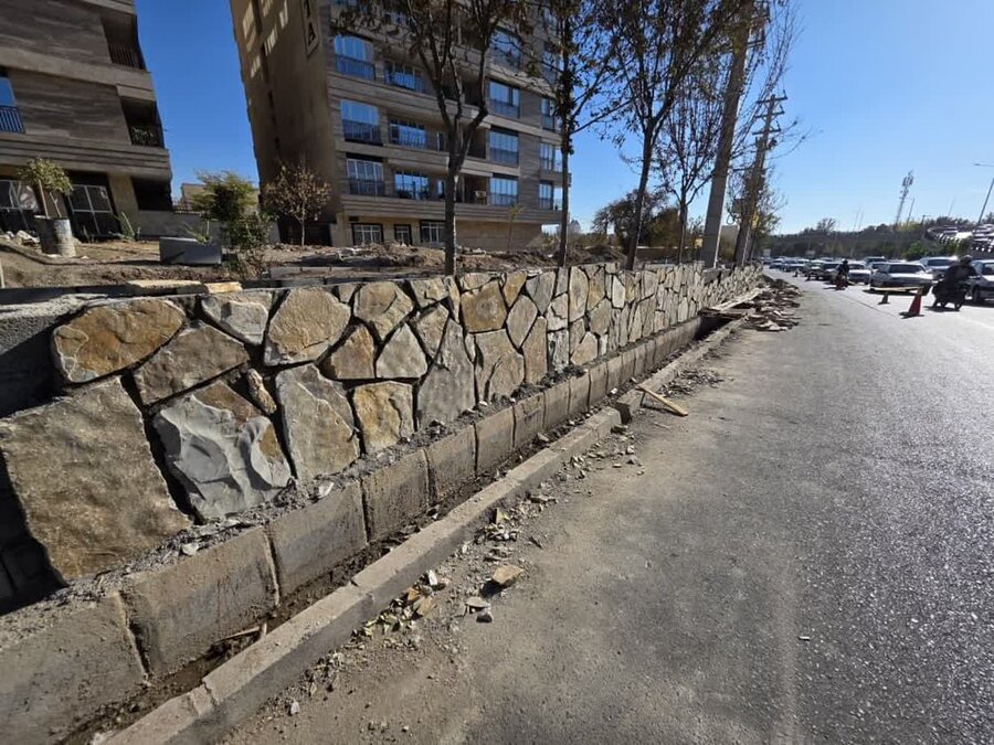 مدیر منطقه ۸ از آخرین وضعیت عمرانی، خدمات شهری و زیباسازی محلات بازدید کرد