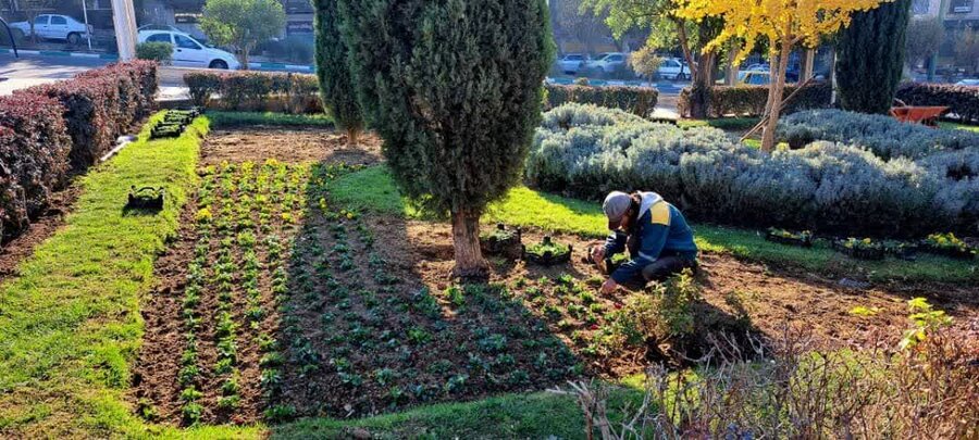 مدیر منطقه ۸ از آخرین وضعیت عمرانی، خدمات شهری و زیباسازی محلات بازدید کرد