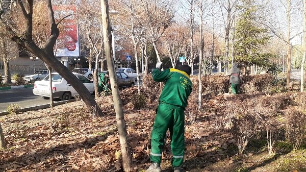 انجام روزانه عملیات برگروبی در منطقه ۴ کرج / آمادهباش کامل برای بارندگیها