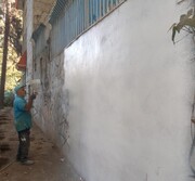 پاکسازی و زیباسازی دیوارهای معابر و بوستان‌های منطقه ۴ کرج