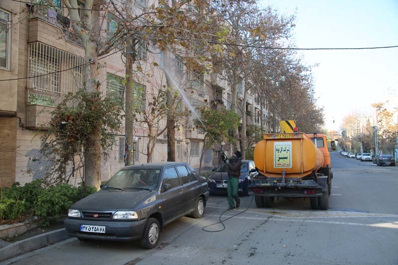 اجرای عملیات محلول پاشی درختان چنار کرج