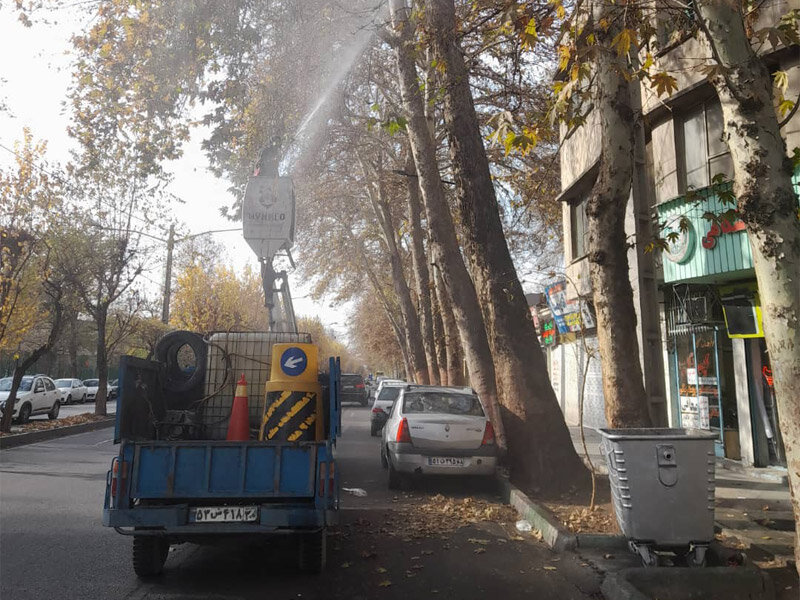 اجرای عملیات محلول پاشی درختان چنار کرج