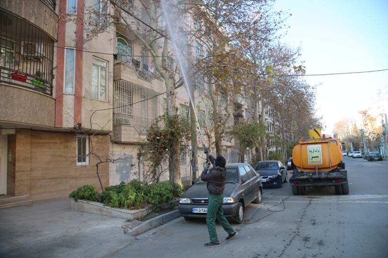 اجرای عملیات محلول پاشی درختان چنار کرج