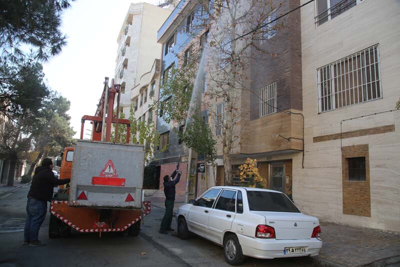 اجرای عملیات محلول پاشی درختان چنار کرج