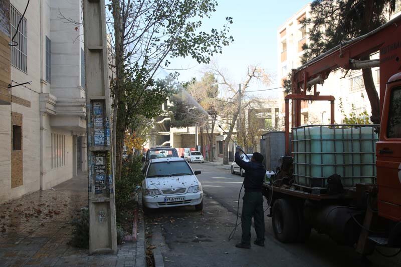 اجرای عملیات محلول پاشی درختان چنار کرج