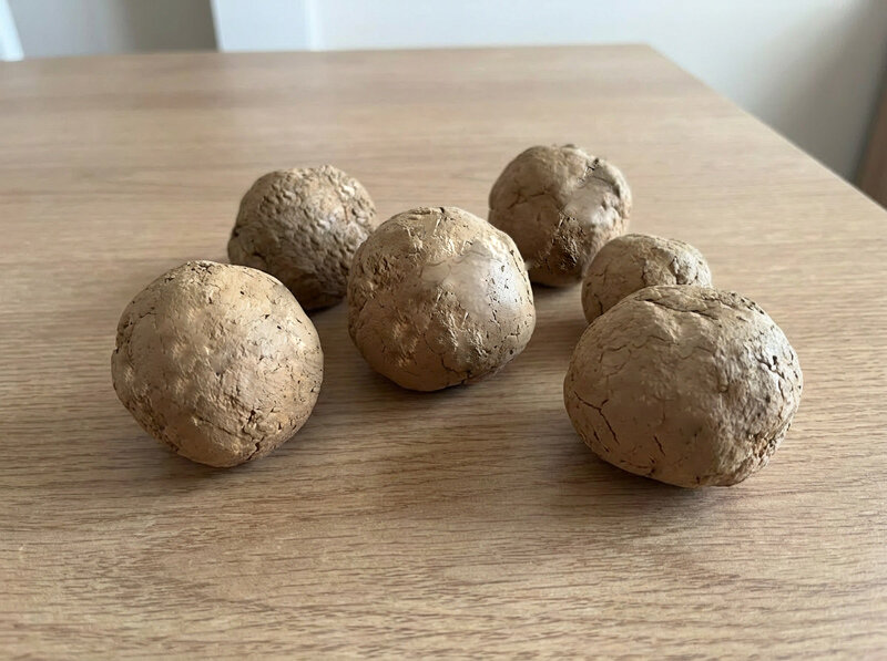 بذرکاری با استفاده از تکنیک توپ بذر در ارتفاعات بیجی انجام شد