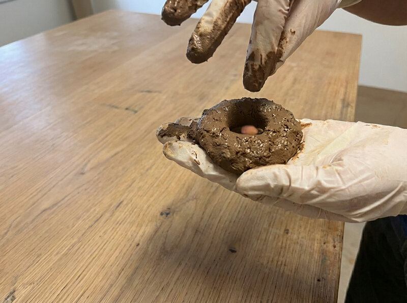 بذرکاری با استفاده از تکنیک توپ بذر در ارتفاعات بیجی انجام شد