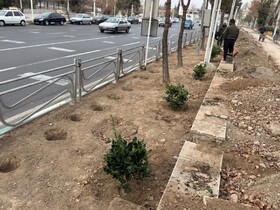 بلوار شهید بهشتی و تعاون ساماندهی شد