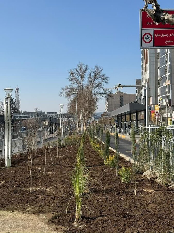 بلوار شهید بهشتی و تعاون ساماندهی شد