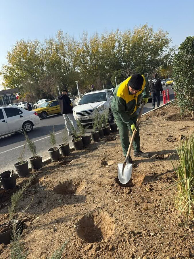 بلوار شهید بهشتی و تعاون ساماندهی شد